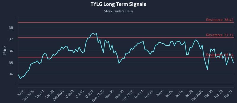 TYLG Long Term Analysis for March 1 2026 TYLG Long Term Analysis for March 1 2026