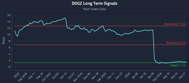 DOGZ Long Term Analysis for March 1 2026