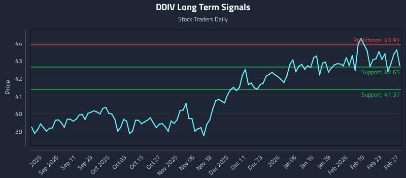 DDIV Long Term Analysis for March 1 2026 DDIV Long Term Analysis for March 1 2026