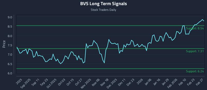 BVS Long Term Analysis for March 1 2026