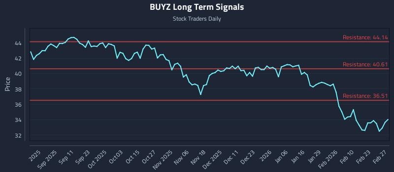 BUYZ Long Term Analysis for March 1 2026