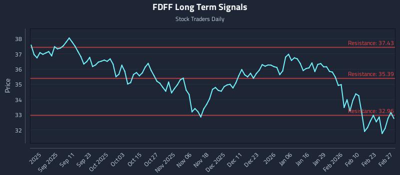 FDFF Long Term Analysis for March 1 2026