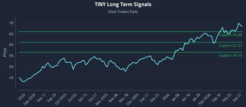TINY Long Term Analysis for March 1 2026