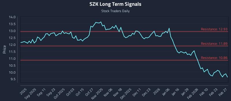 SZK Long Term Analysis for March 1 2026