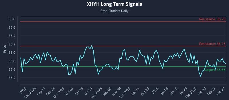 XHYH Long Term Analysis for March 1 2026