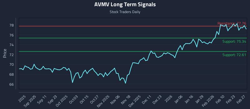 AVMV Long Term Analysis for March 1 2026