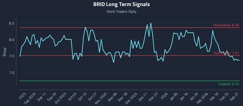 BRID Long Term Analysis for March 1 2026