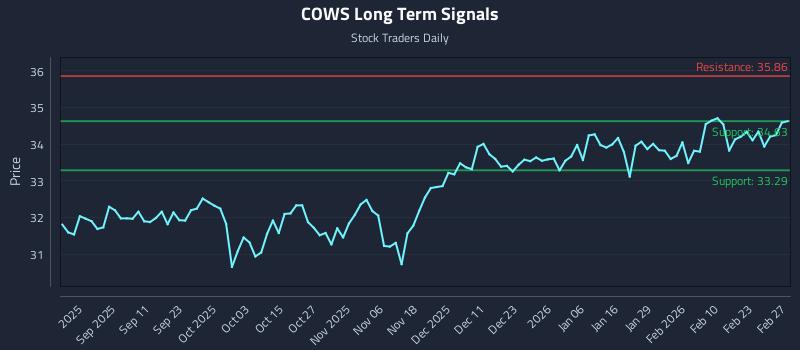 COWS Long Term Analysis for March 1 2026