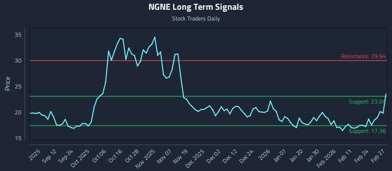 NGNE Long Term Analysis for March 2 2026 NGNE Long Term Analysis for March 2 2026