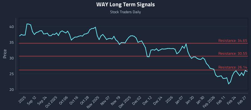 WAY Long Term Analysis for March 2 2026