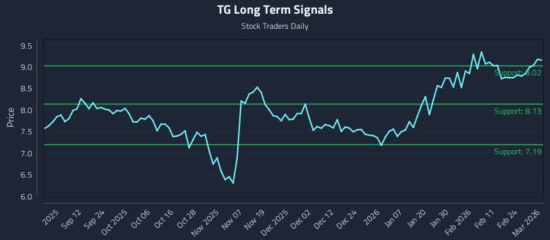 TG Long Term Analysis for March 2 2026 TG Long Term Analysis for March 2 2026