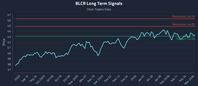 BLCR Long Term Analysis for March 2 2026