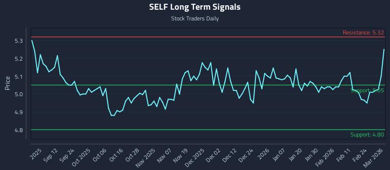 SELF Long Term Analysis for March 2 2026