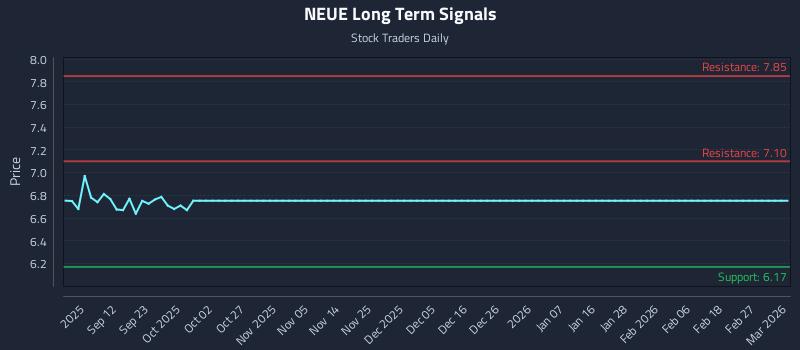 NEUE Long Term Analysis for March 3 2026