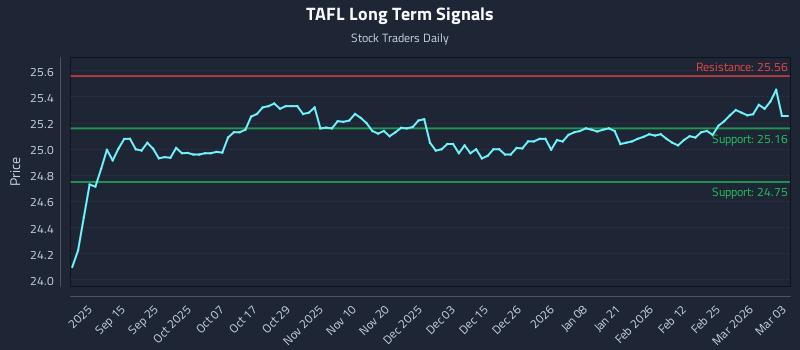 TAFL Long Term Analysis for March 3 2026