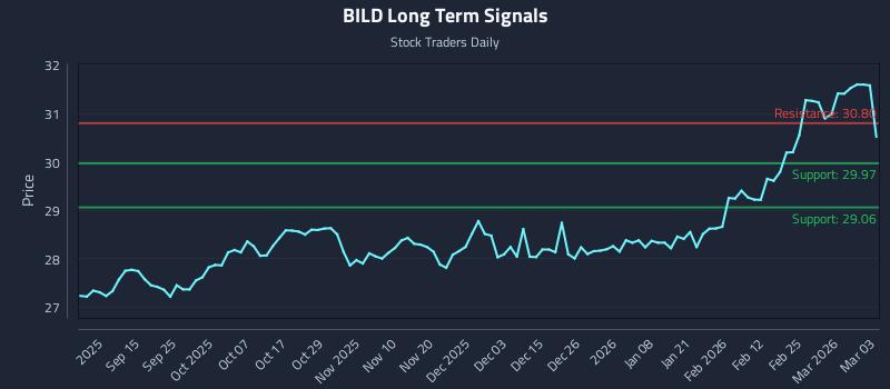 BILD Long Term Analysis for March 3 2026