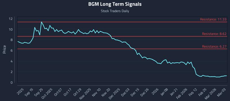 BGM Long Term Analysis for March 3 2026