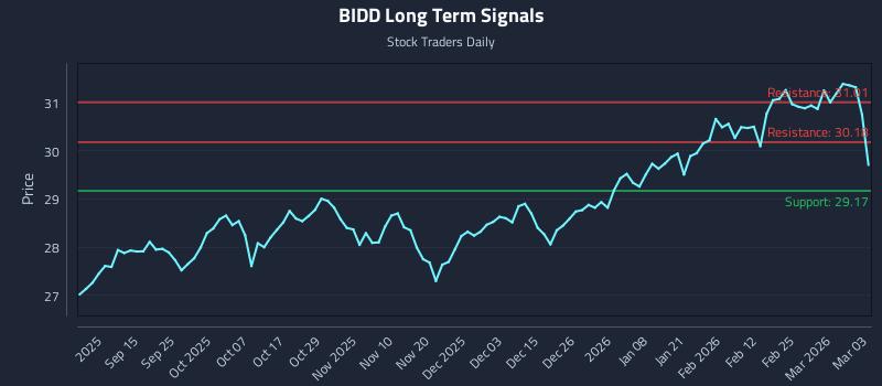 BIDD Long Term Analysis for March 3 2026