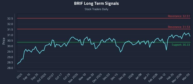 BRIF Long Term Analysis for March 3 2026