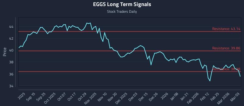 EGGS Long Term Analysis for March 3 2026 EGGS Long Term Analysis for March 3 2026