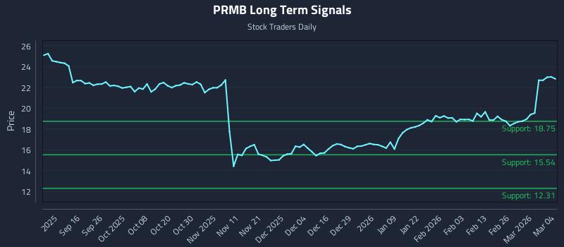 PRMB Long Term Analysis for March 4 2026