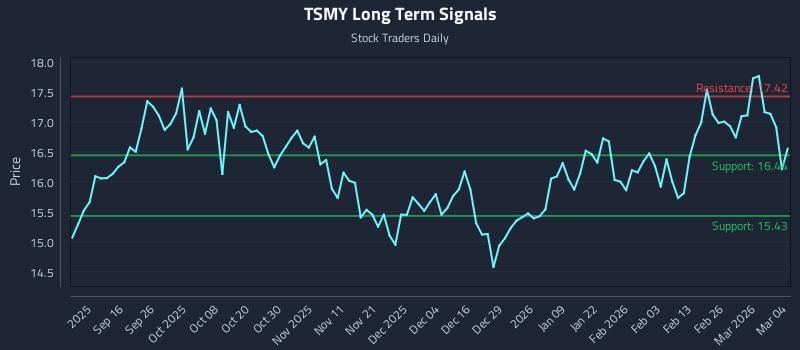 TSMY Long Term Analysis for March 4 2026