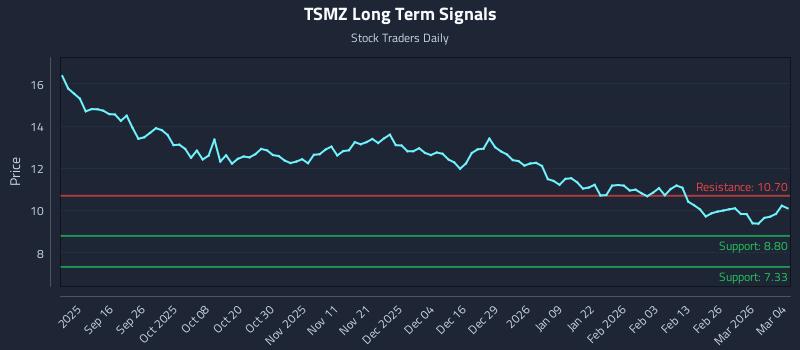 TSMZ Long Term Analysis for March 4 2026