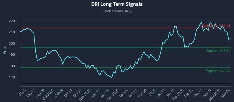 DRI Long Term Analysis for March 5 2026