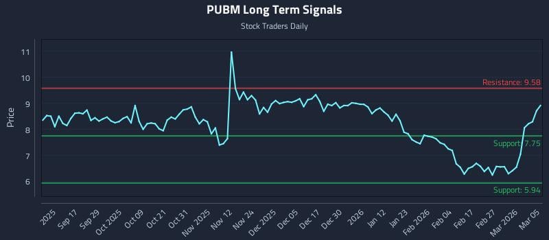 PUBM Long Term Analysis for March 5 2026