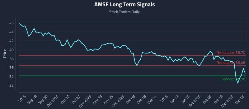 AMSF Long Term Analysis for March 6 2026