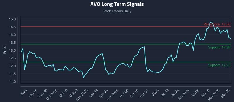 AVO Long Term Analysis for March 6 2026