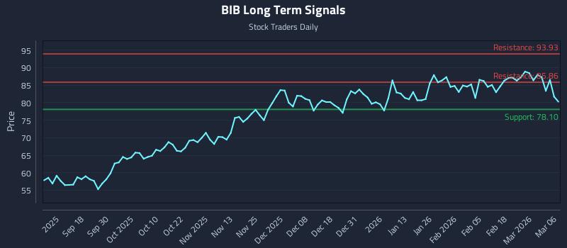 BIB Long Term Analysis for March 6 2026