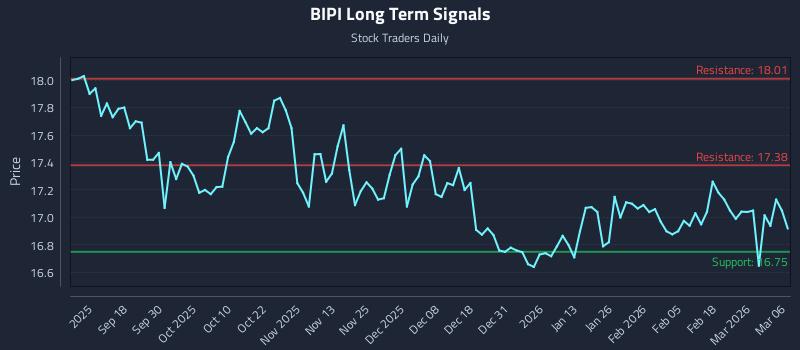 BIPI Long Term Analysis for March 6 2026