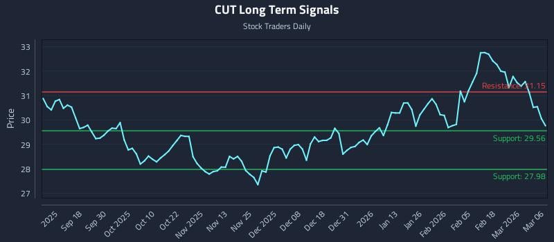 CUT Long Term Analysis for March 7 2026