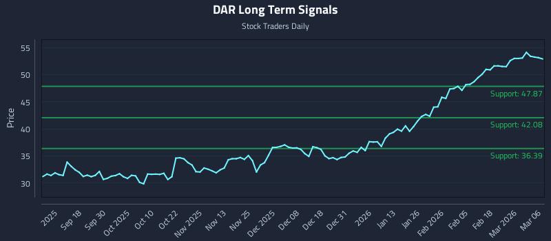 DAR Long Term Analysis for March 7 2026