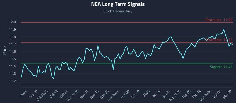 NEA Long Term Analysis for March 9 2026
