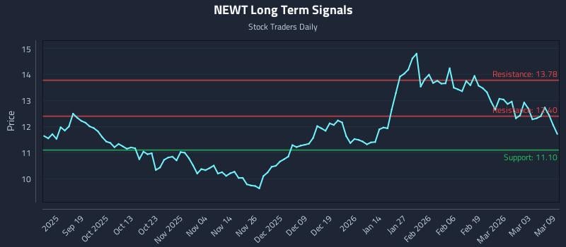 NEWT Long Term Analysis for March 9 2026
