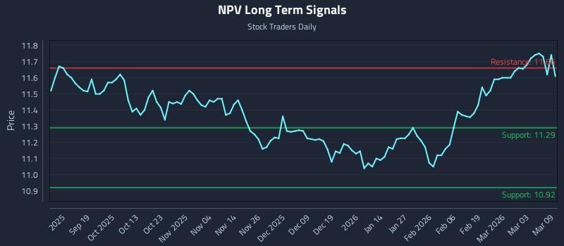 NPV Long Term Analysis for March 9 2026