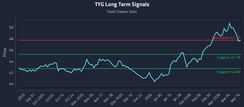 TYG Long Term Analysis for March 10 2026