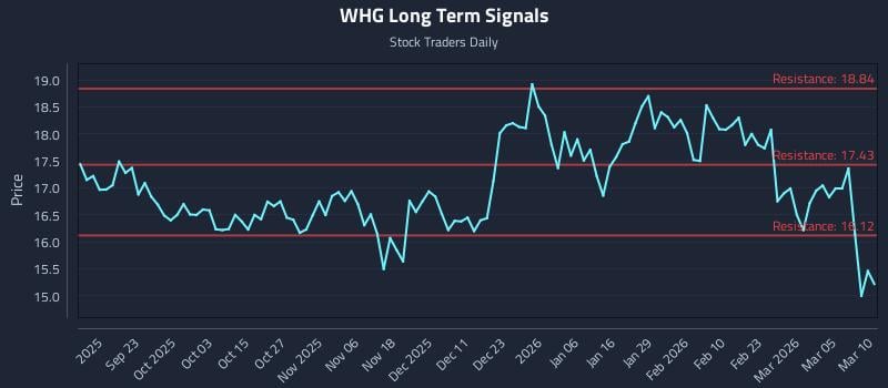 WHG Long Term Analysis for March 11 2026
