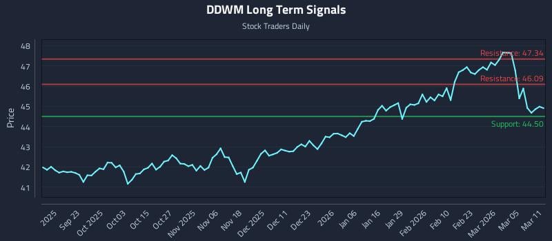 DDWM Long Term Analysis for March 11 2026