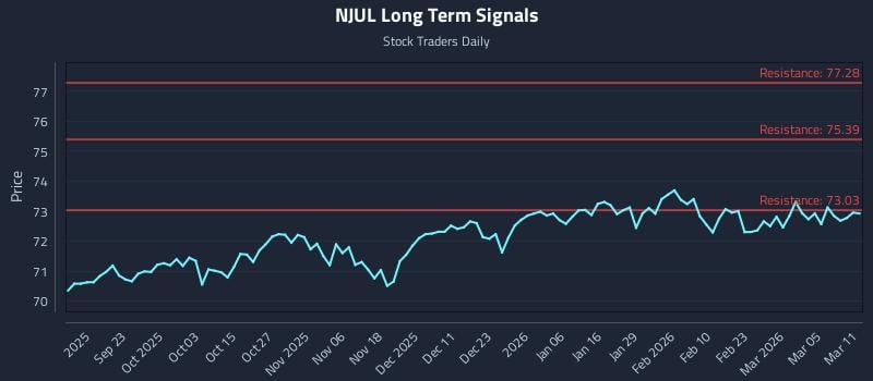 NJUL Long Term Analysis for March 11 2026