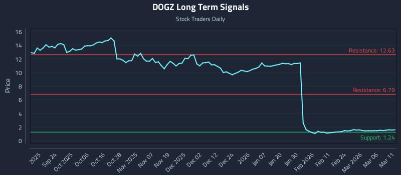 DOGZ Long Term Analysis for March 12 2026