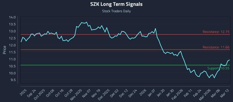 SZK Long Term Analysis for March 12 2026