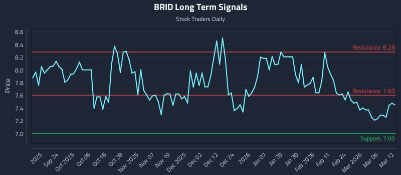 BRID Long Term Analysis for March 12 2026