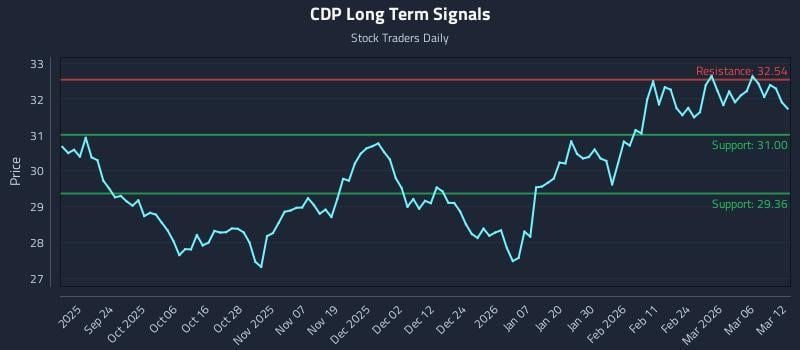CDP Long Term Analysis for March 12 2026