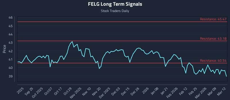 FELG Long Term Analysis for March 13 2026