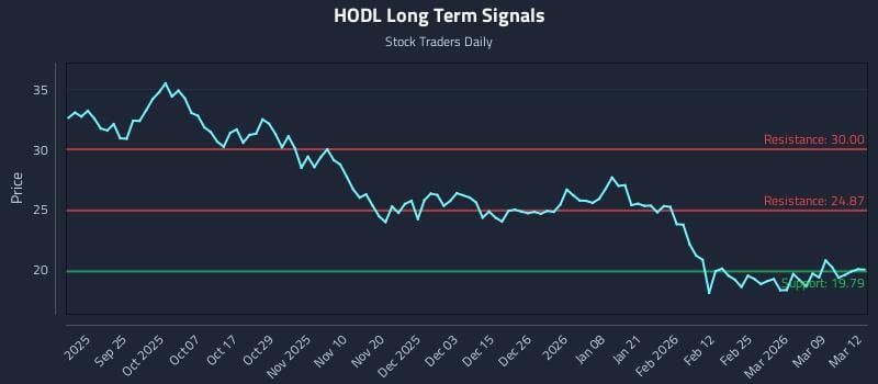 HODL Long Term Analysis for March 13 2026