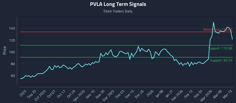 PVLA Long Term Analysis for March 14 2026