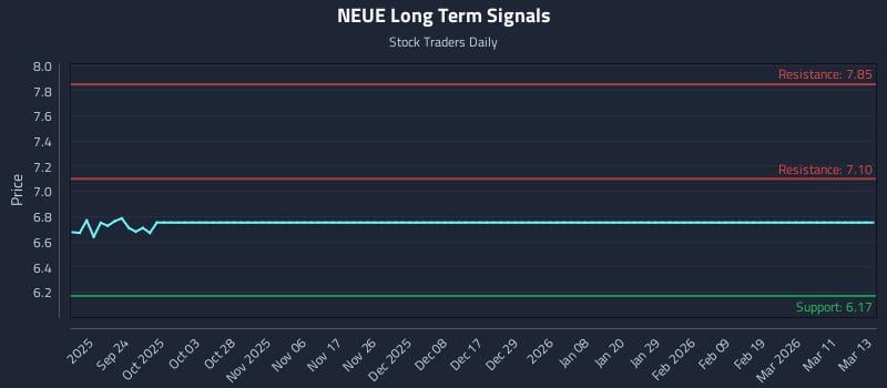 NEUE Long Term Analysis for March 14 2026 NEUE Long Term Analysis for March 14 2026